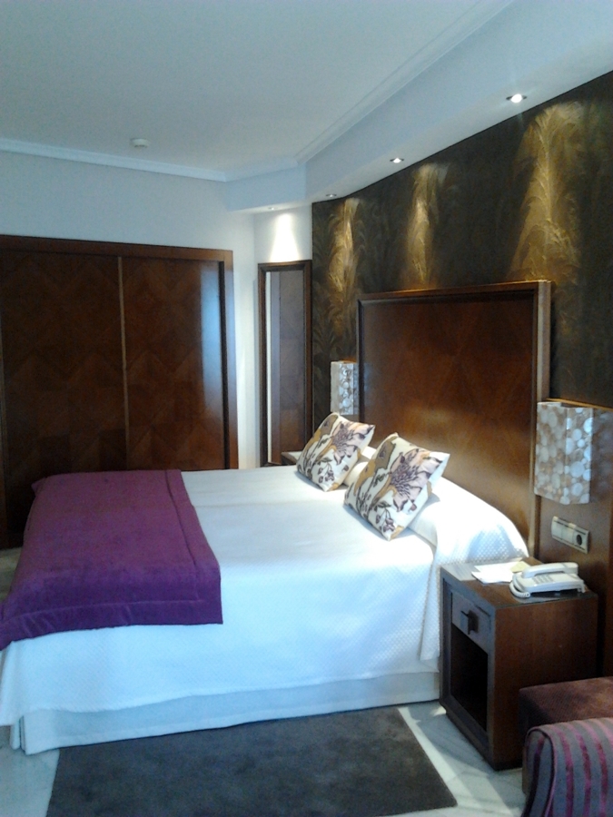 Hotel Balcón de Europa (Nerja)