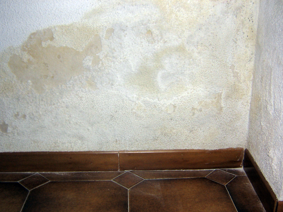 humedad por capilaridad