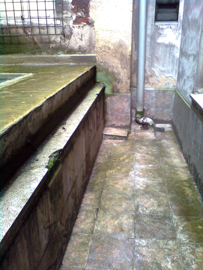 HUMEDADES EN PATIO DE LUCES(EL ANTES)