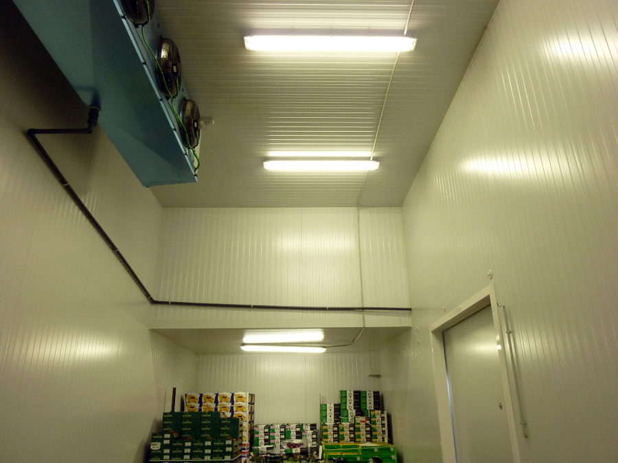 ILUMINACION EN ZONAS DE REFRIGERACION