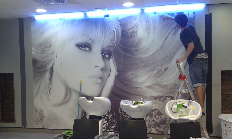 Mural de vinilo impreso .