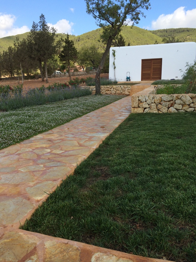 Mantenimiento jardinería Ibiza