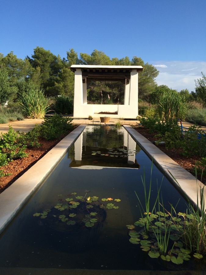 Jardines con plantas acuáticas 
