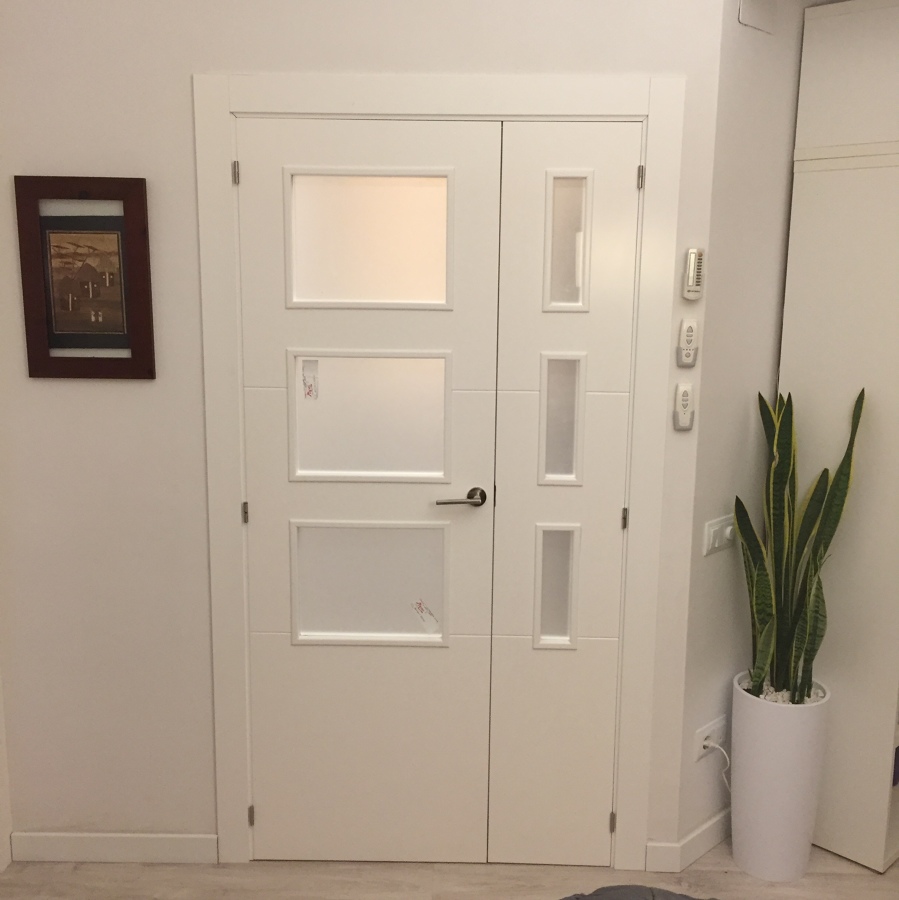 Puerta vidriera doble para salon