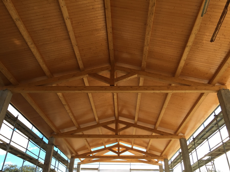 Estructura y cubierta de madera vista