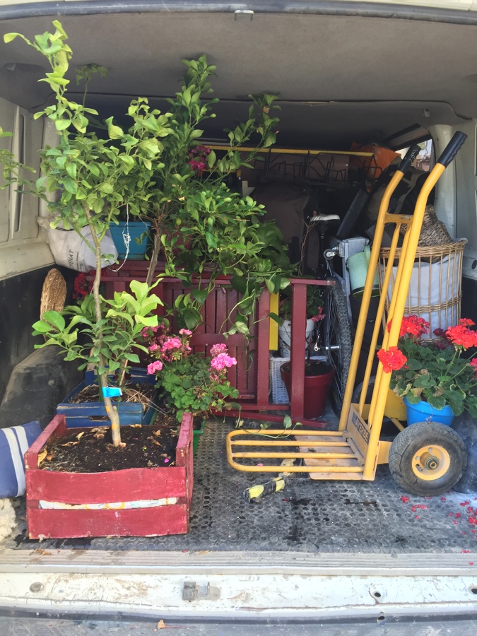 Traslado de plantas y enseres delicados 