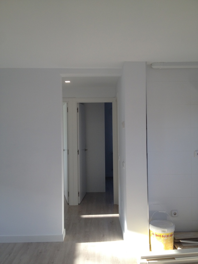 Quitar, gotelé, alisar y pintar