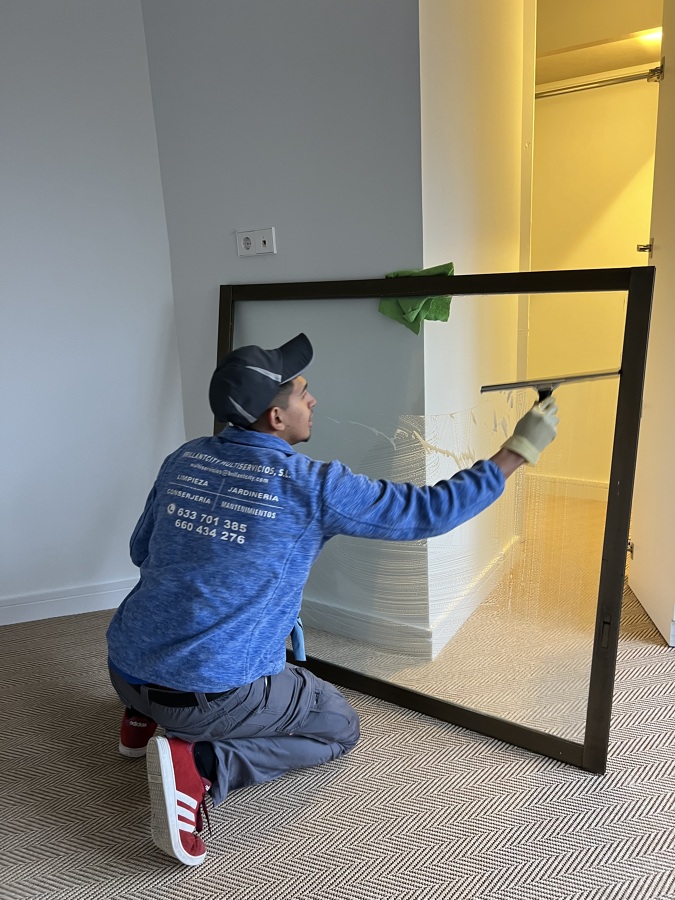 LIMPIEZA DE CRISTALES