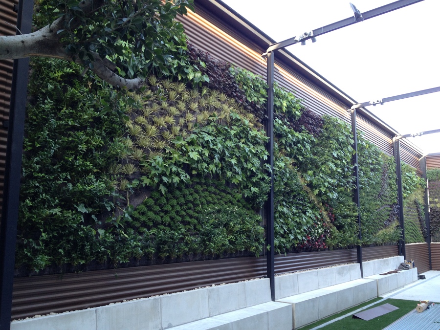 INDALO BANQUETA, SALONES PETRER