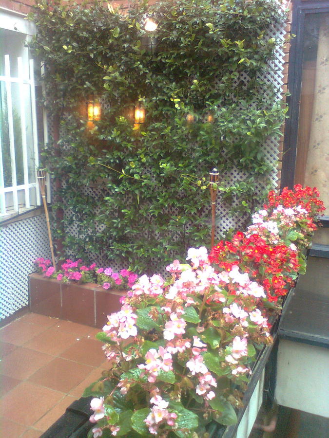 Terraza flor de temporada