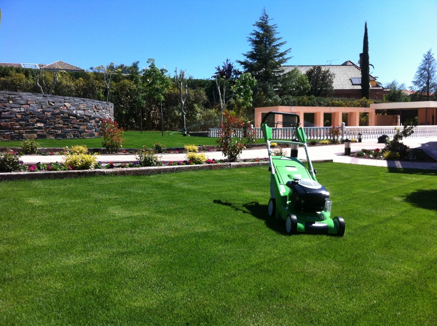 Primera siega de césped en Planchas
