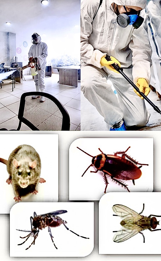 Control Integral de Plagas