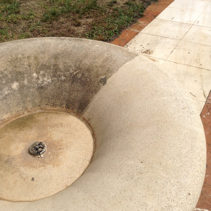 Eliminación de mohos