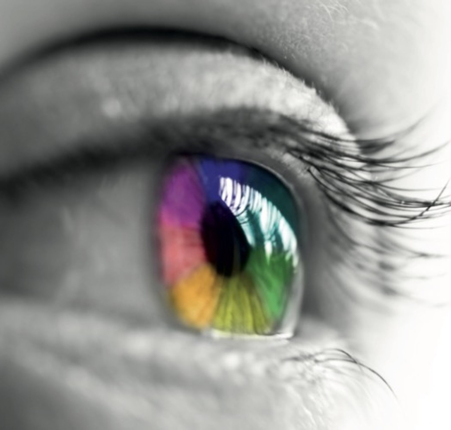 Servicios de Pintura y Decoración