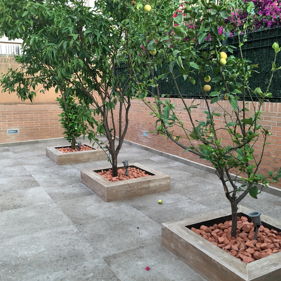 TERRAZA CON MACETEROS