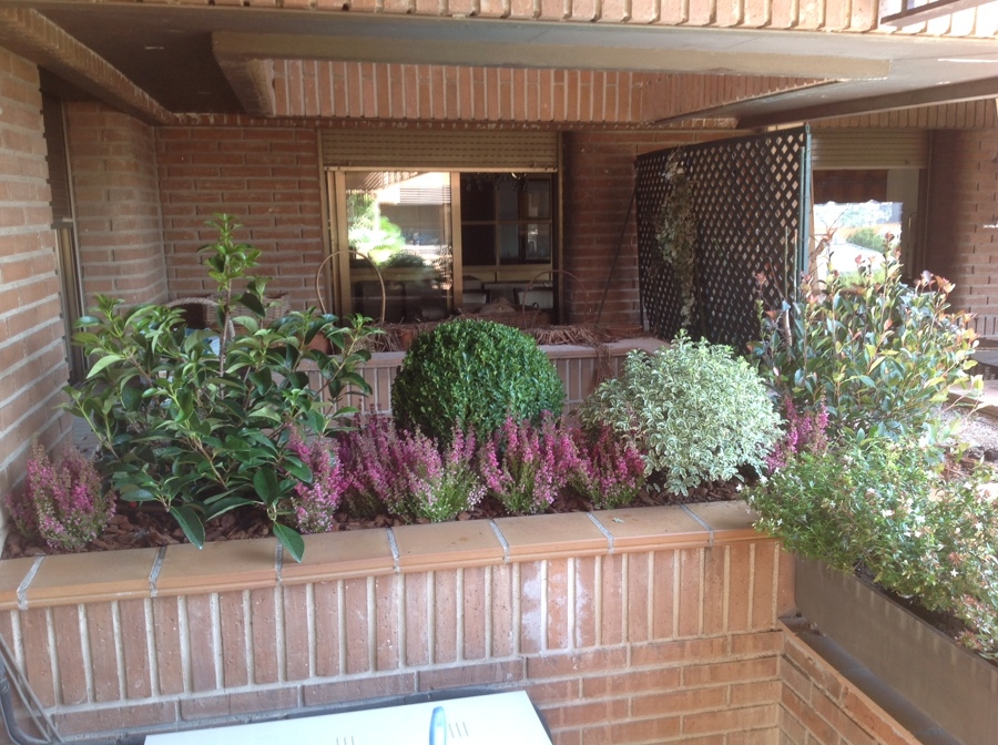 Terraza arbustiva Madrid 2