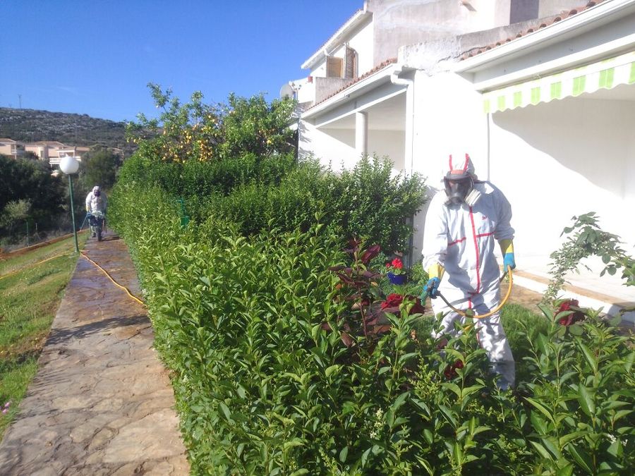 Fumigación para el control de mosquitos.