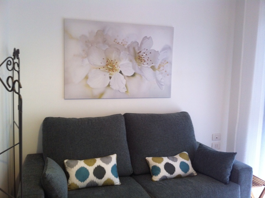 DECORACIÓN