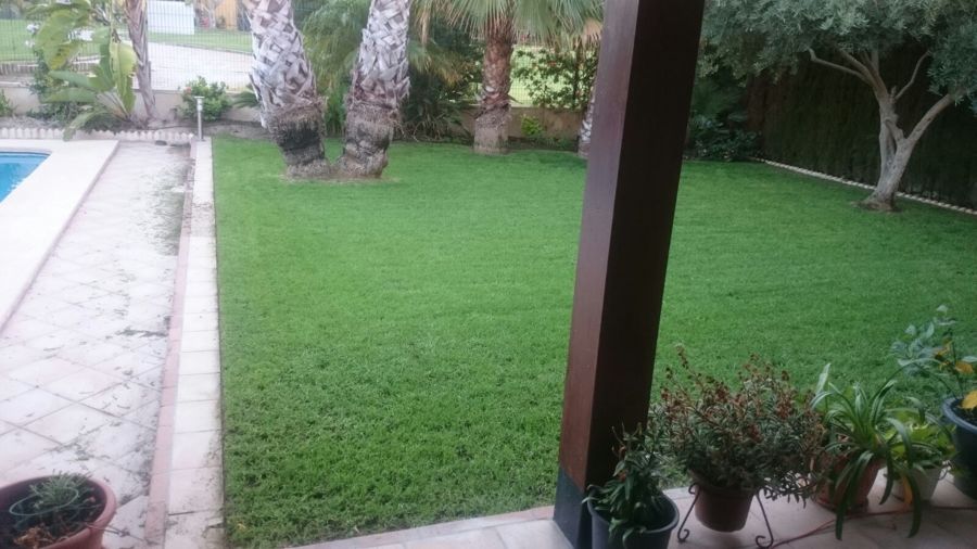 Mantenimiento particular