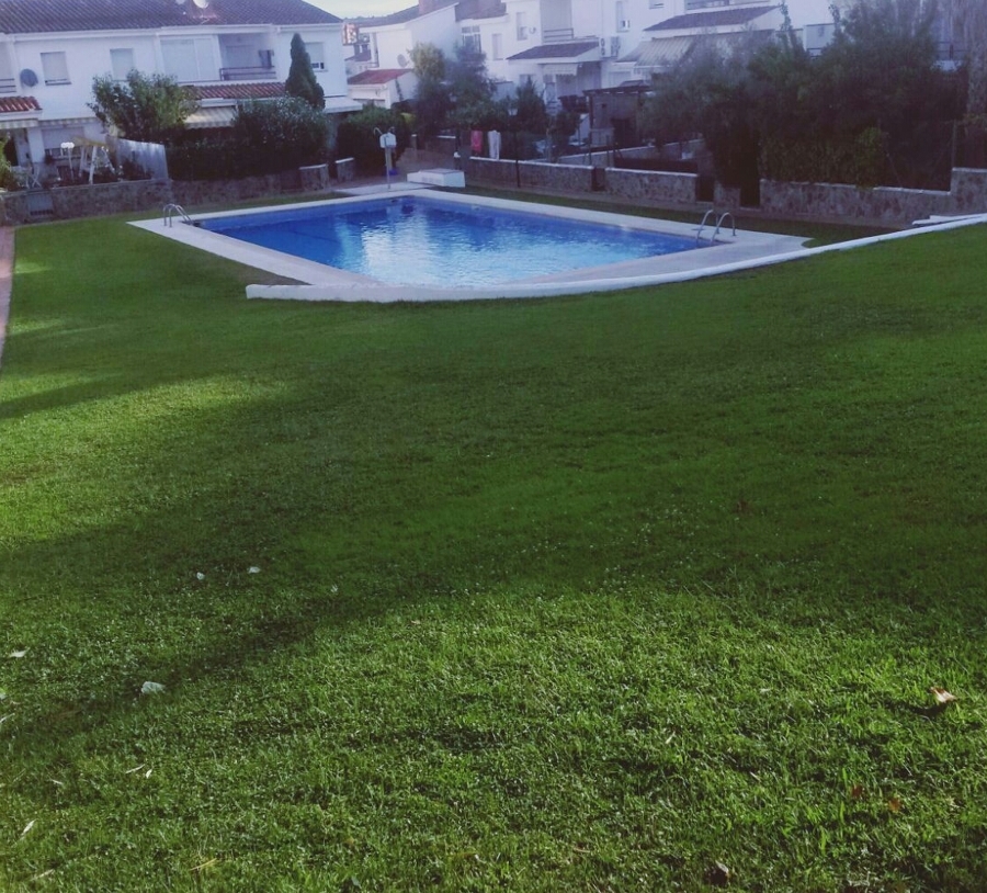 cesped natural