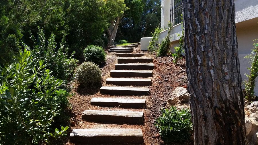 escalones de vía de tren plantas y decoracion