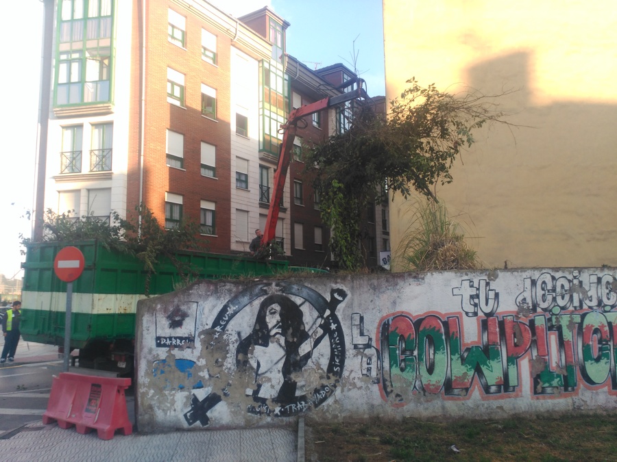 Limpieza de parcela cerrada