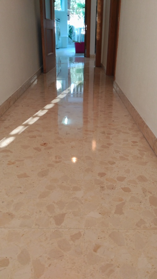 acristalado de terrazo