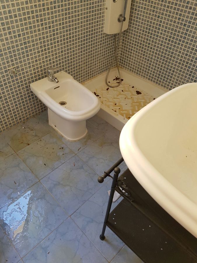 Baño de vivienda 