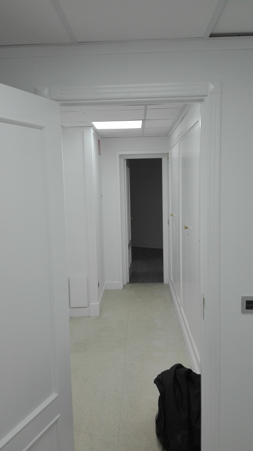 Pintura plastica blanca