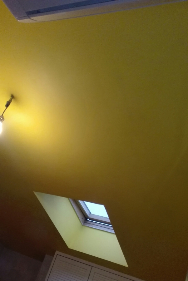 Alisado y pintura paredes y techo