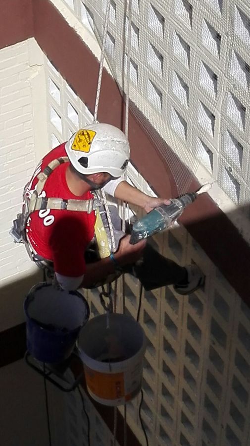 Colocación mallas antiaves 