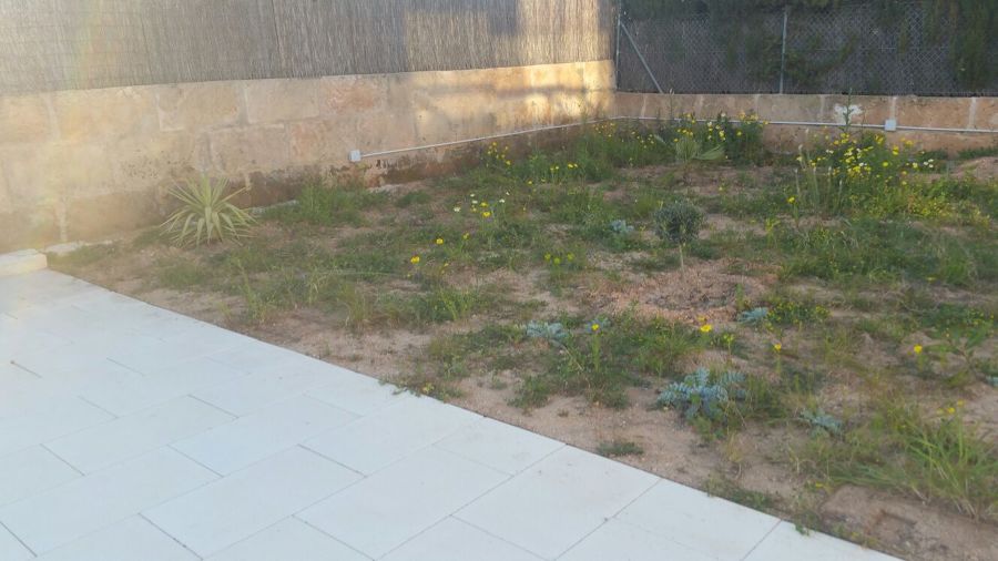 TERRENO CON MALAS HIERBAS