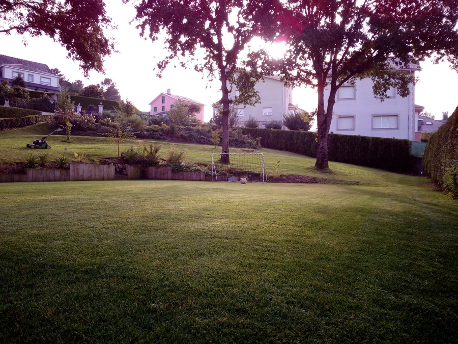 Cancha de fútbol con césped natural