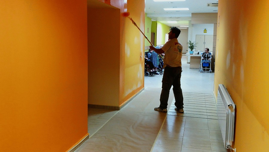 Pintura y decoración