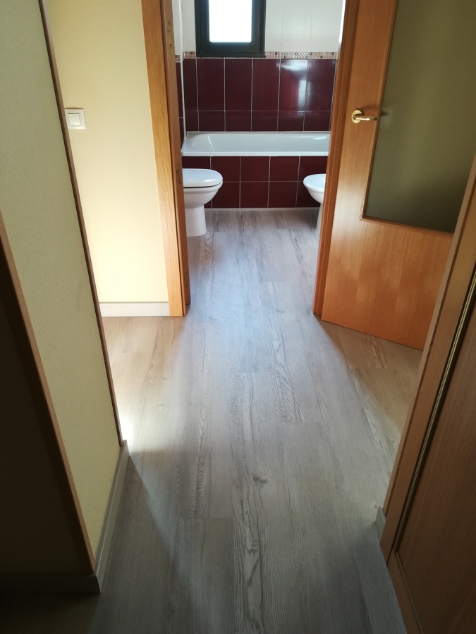Tarima