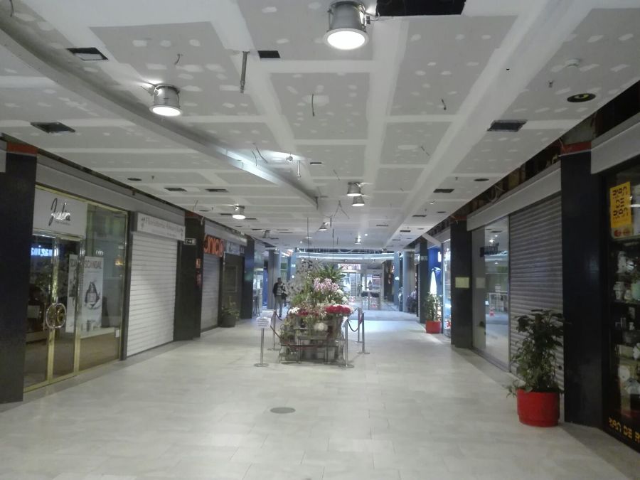 Techo curvo de madera I fase