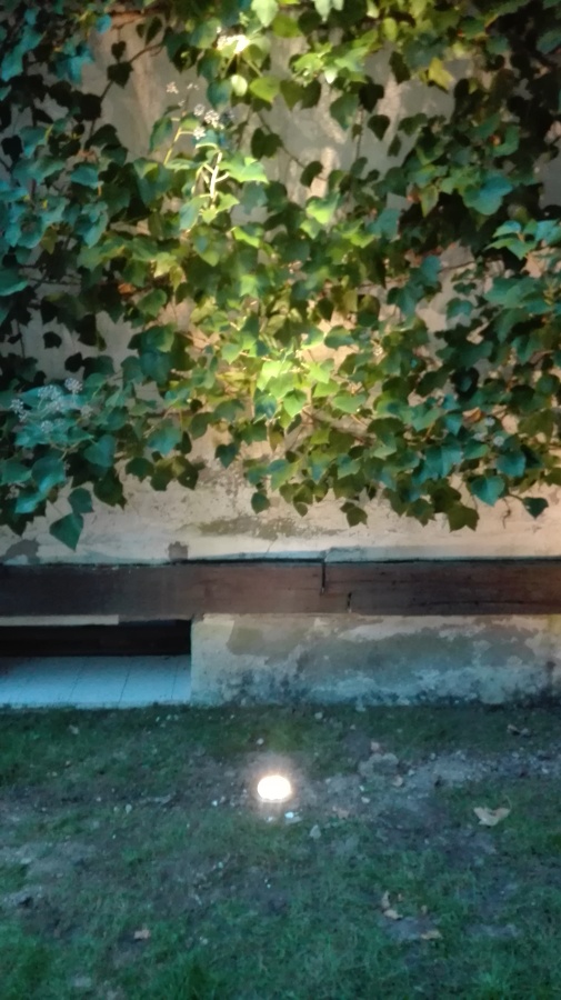 Iluminación led en jardín.