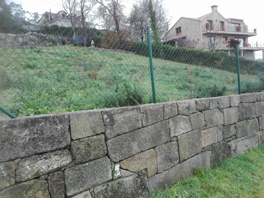 Desbroce parcela ( antes)