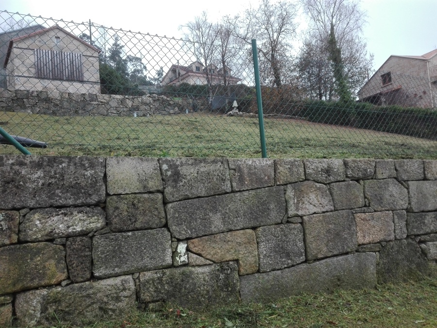 Desbroce parcela (después)