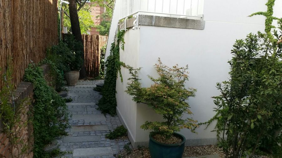 Acondiconamiento de jardín