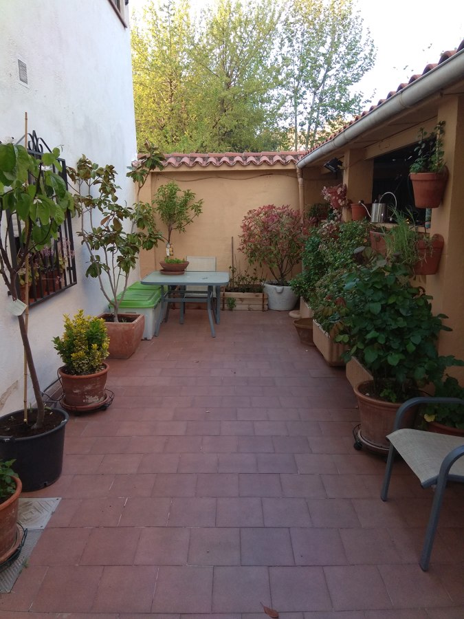 MANTENIMIENTO DE PATIO