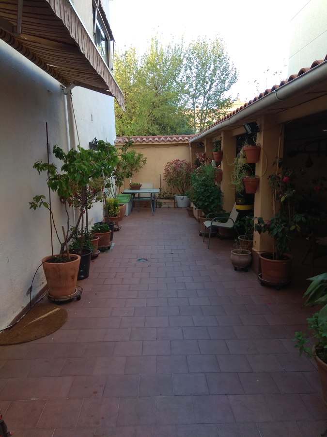 MANTENIMIENTO DE PATIO