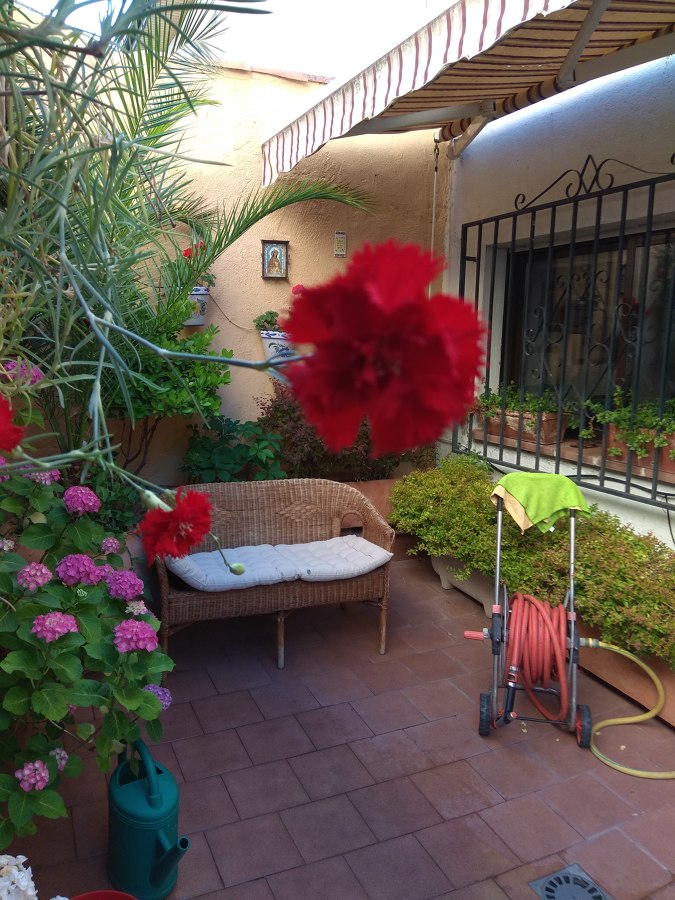 MANTENIMIENTO DE PATIO