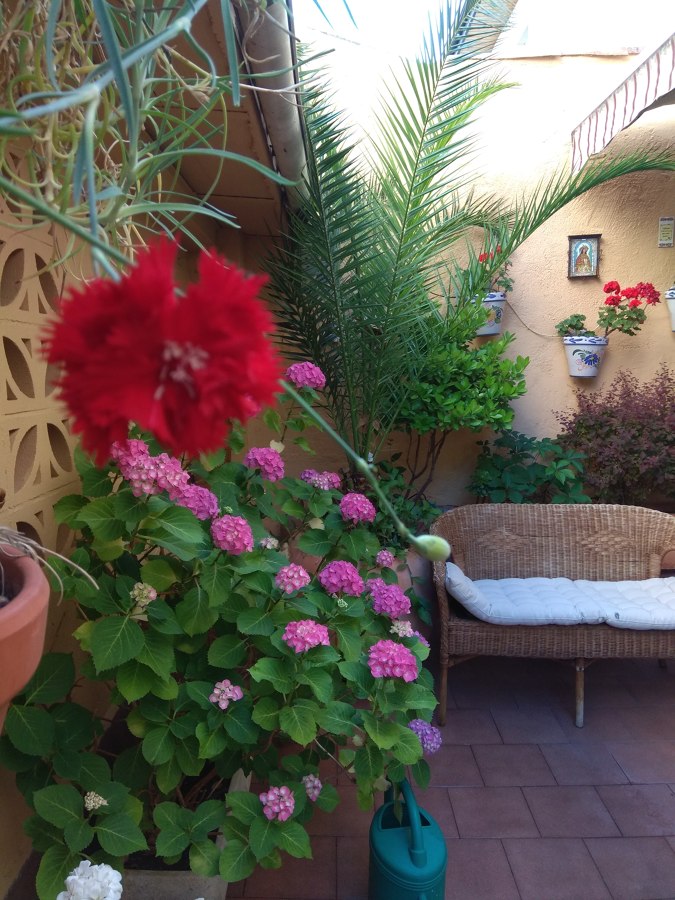 MANTENIMIENTO DE PATIO