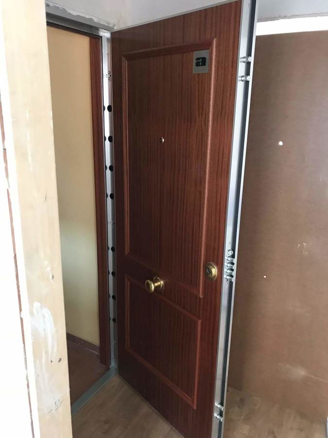 PUERTA DE SEGURIDAD PH1