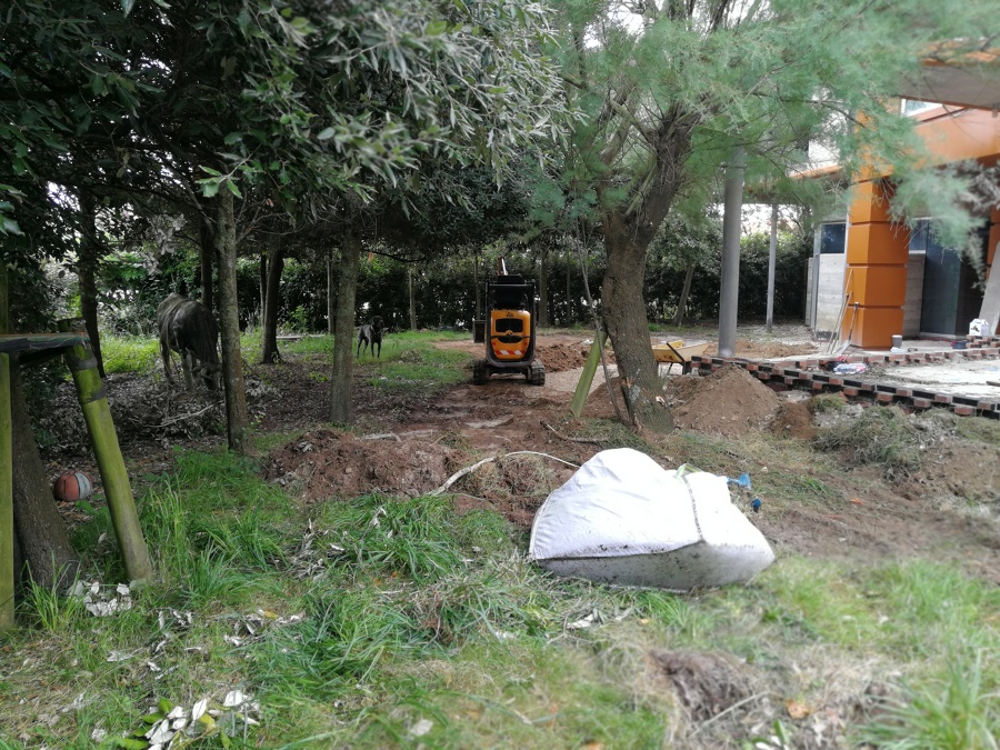 Diseño de jardines (antes)