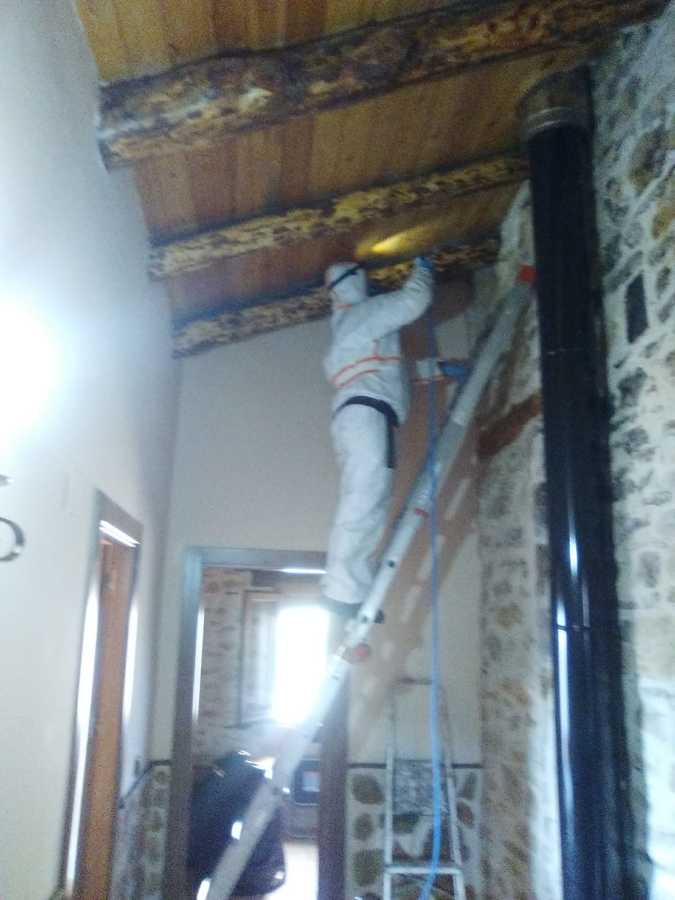 tratamiento  en vigas