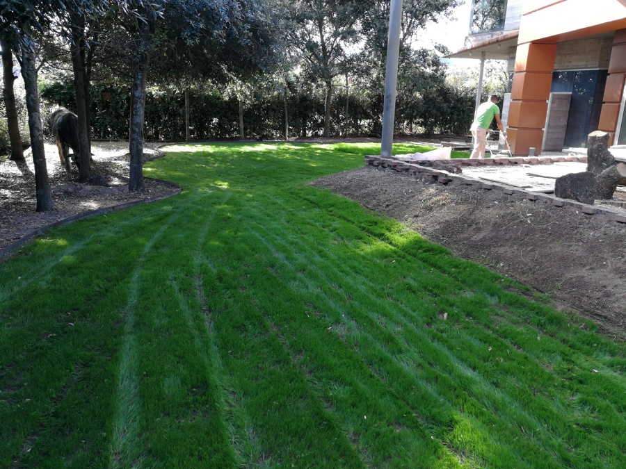 Diseño de jardines (después)