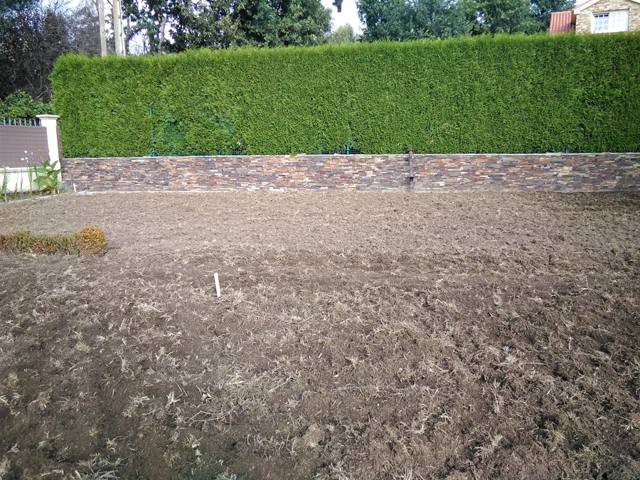 Preparado de terreno para césped.