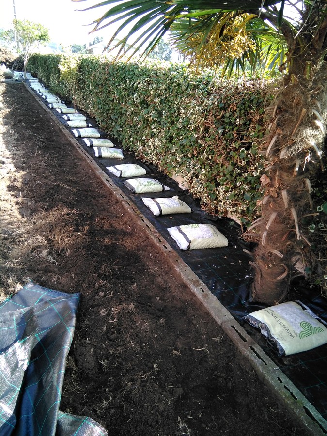 Preparación firme de jardineras.